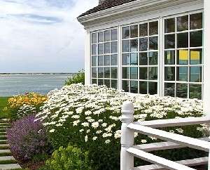 plantera vaxter vid huset redigerad